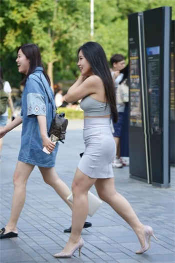 不呆猫资源