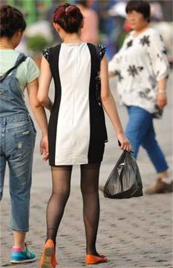 南音霍北华全文免费阅读