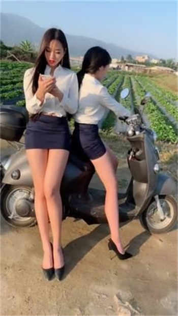 深圳龙岗嫖友交流群