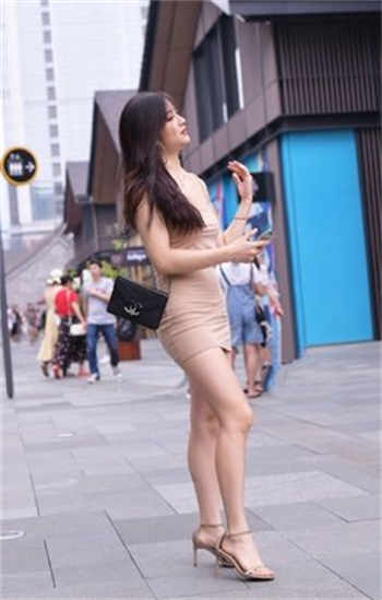 陆琛莫暖全文免费阅读