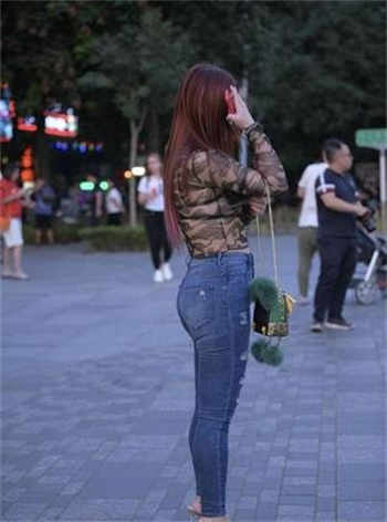 达尔盖旗帜