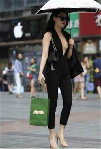 pr九尾狐狸软件下载