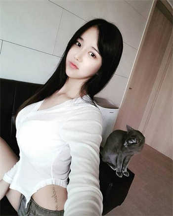 老版本彩色兔子视频下载
